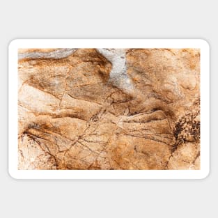 Orange Stained Stone Surface Texture Sticker